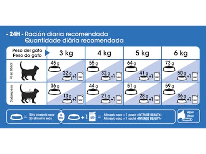 AR-L-Tabla-Racionamiento-Indoor-longhair-Feline-Health-Nutrition-Seco