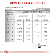 Feline Gastrointestinal Loaf Royal Canin US