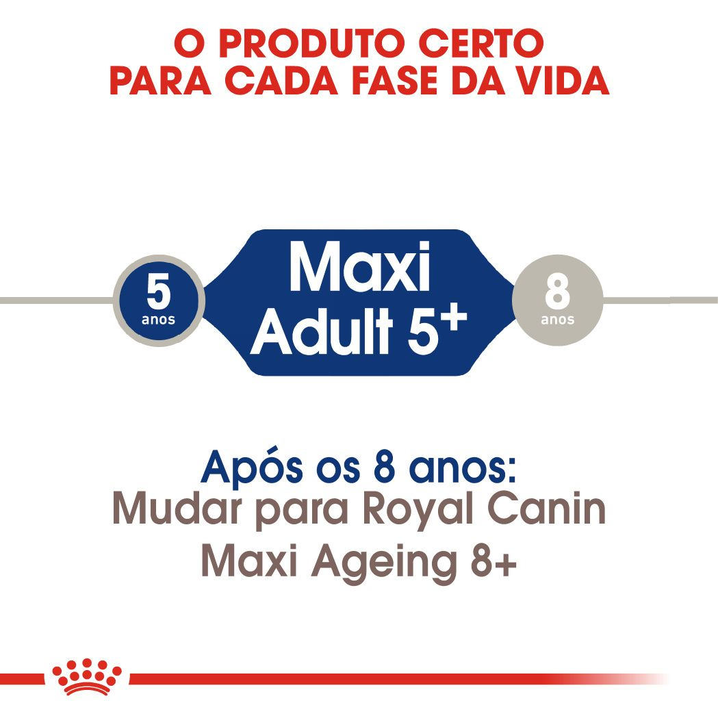 Maxi Adult 5+
