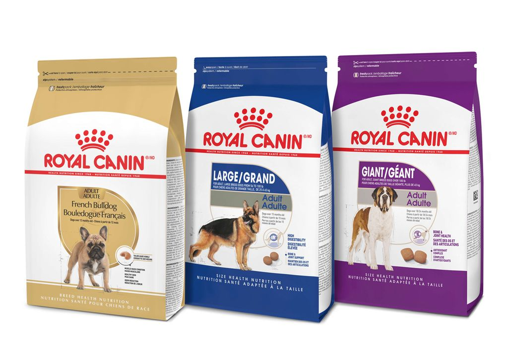 Royal canin clearance for american bully