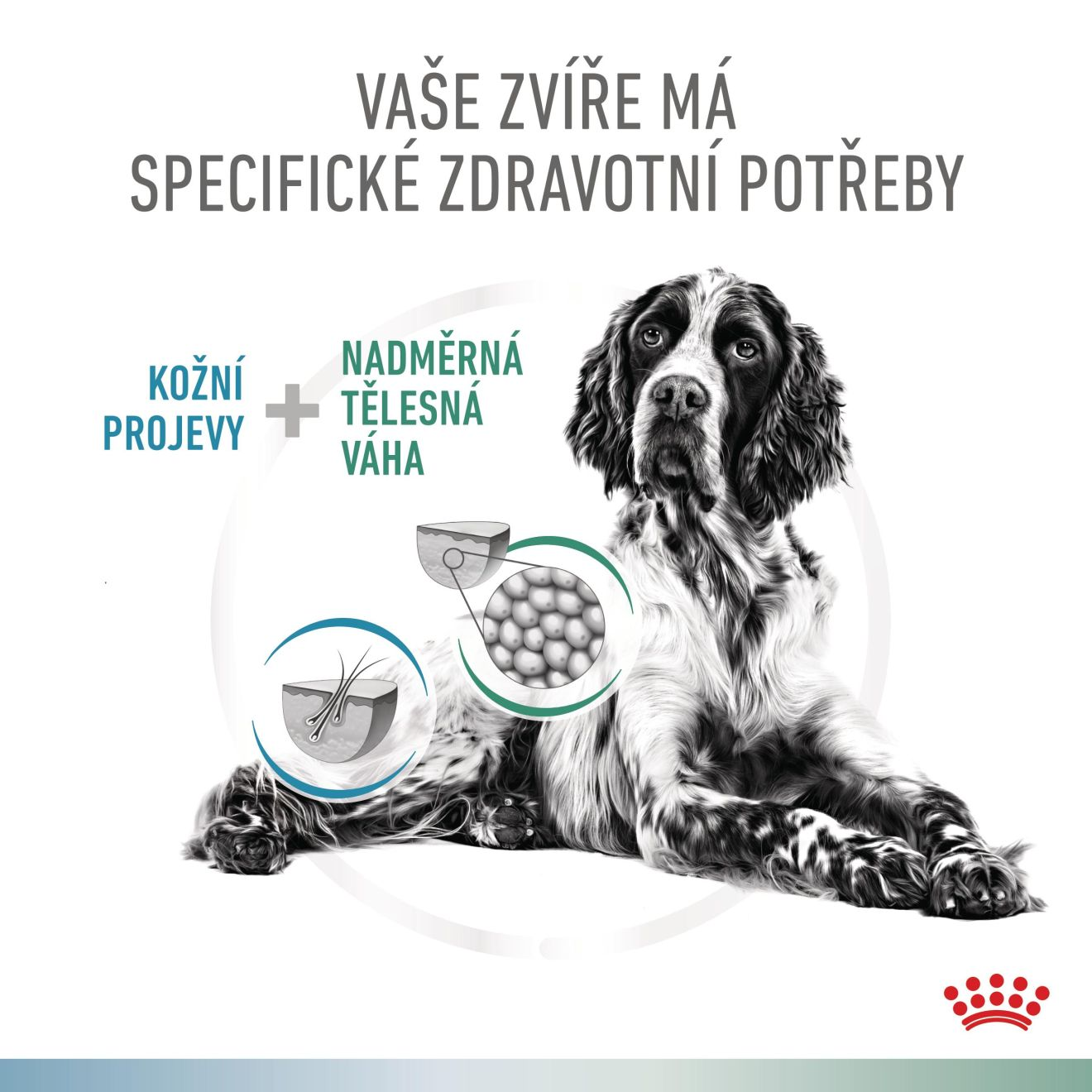 VHN Dog CA Hypoallergenic - Satiety