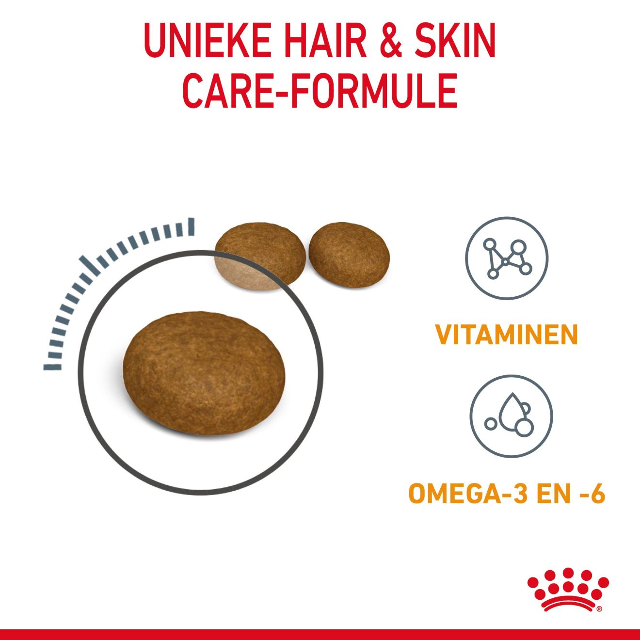 Hair & Skin Care