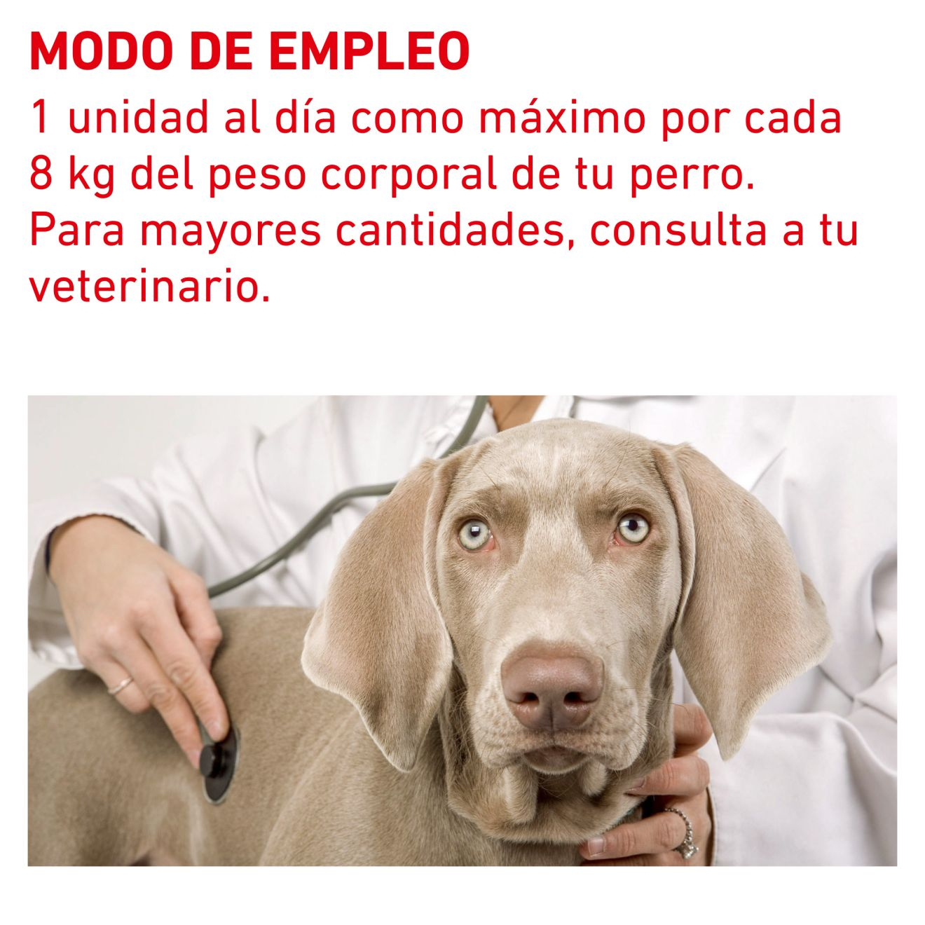 Pill Assist Medium/Large Dog