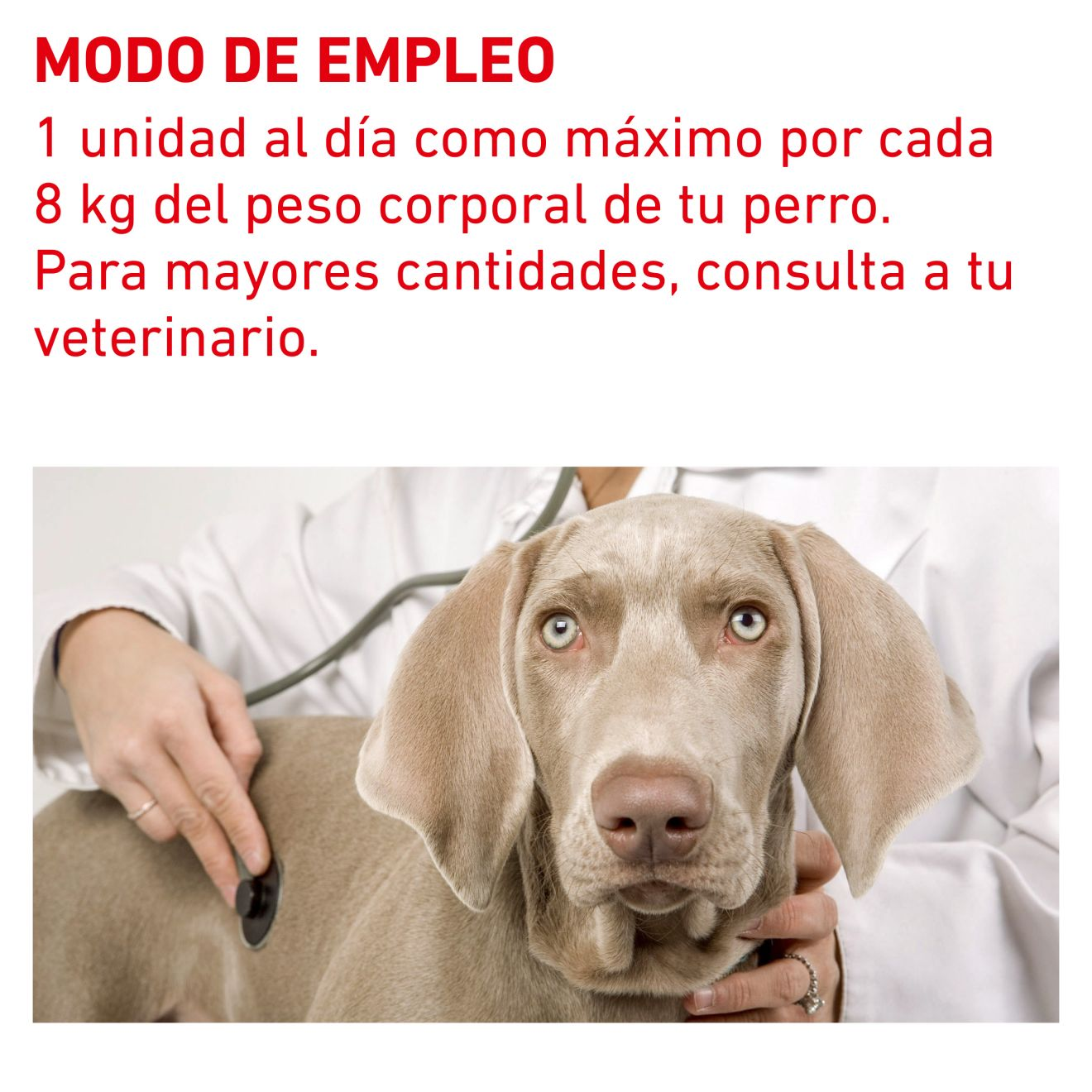 PILL ASSIST MEDIUM/LARGE DOG