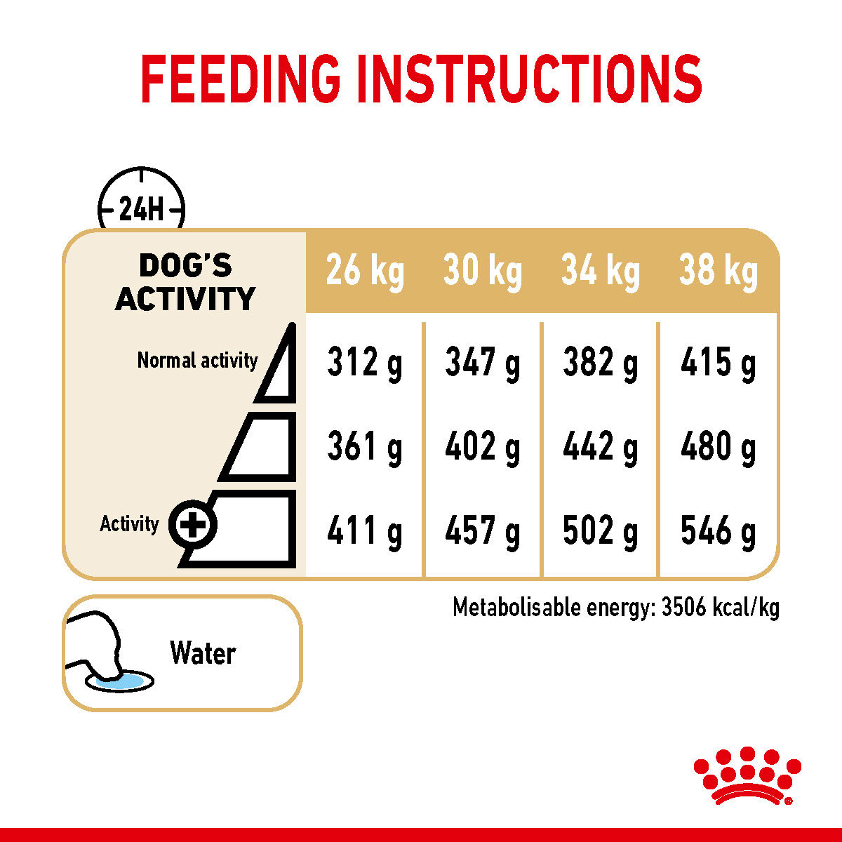 Labrador feeding guide best sale