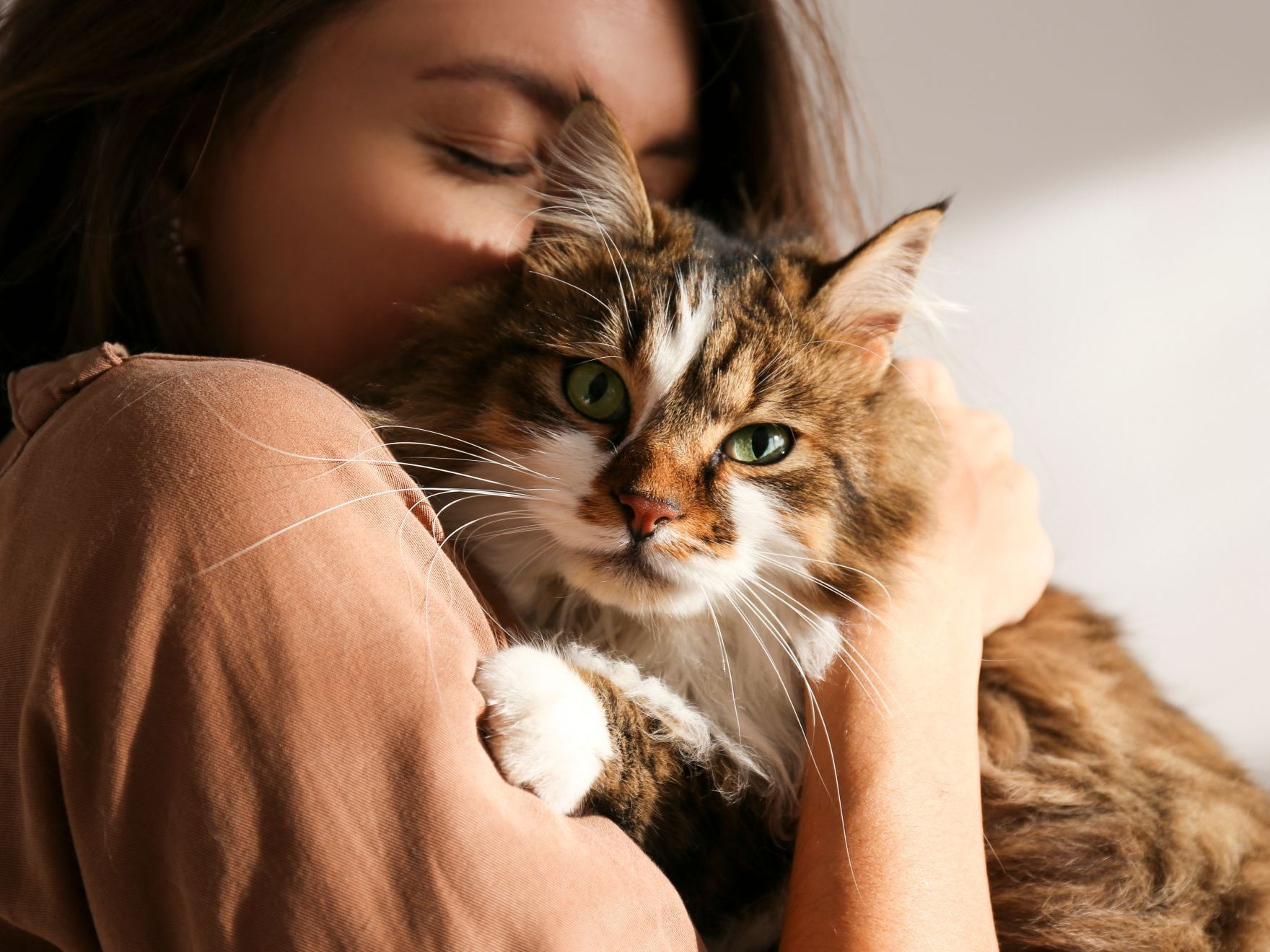 Retrato de una joven sosteniendo un gato siberiano de ojos verdes.