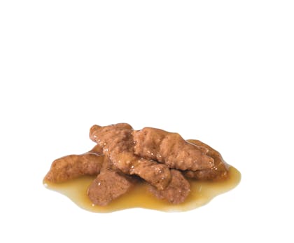 FHN-WET-2019-MORSELS IN GRAVY