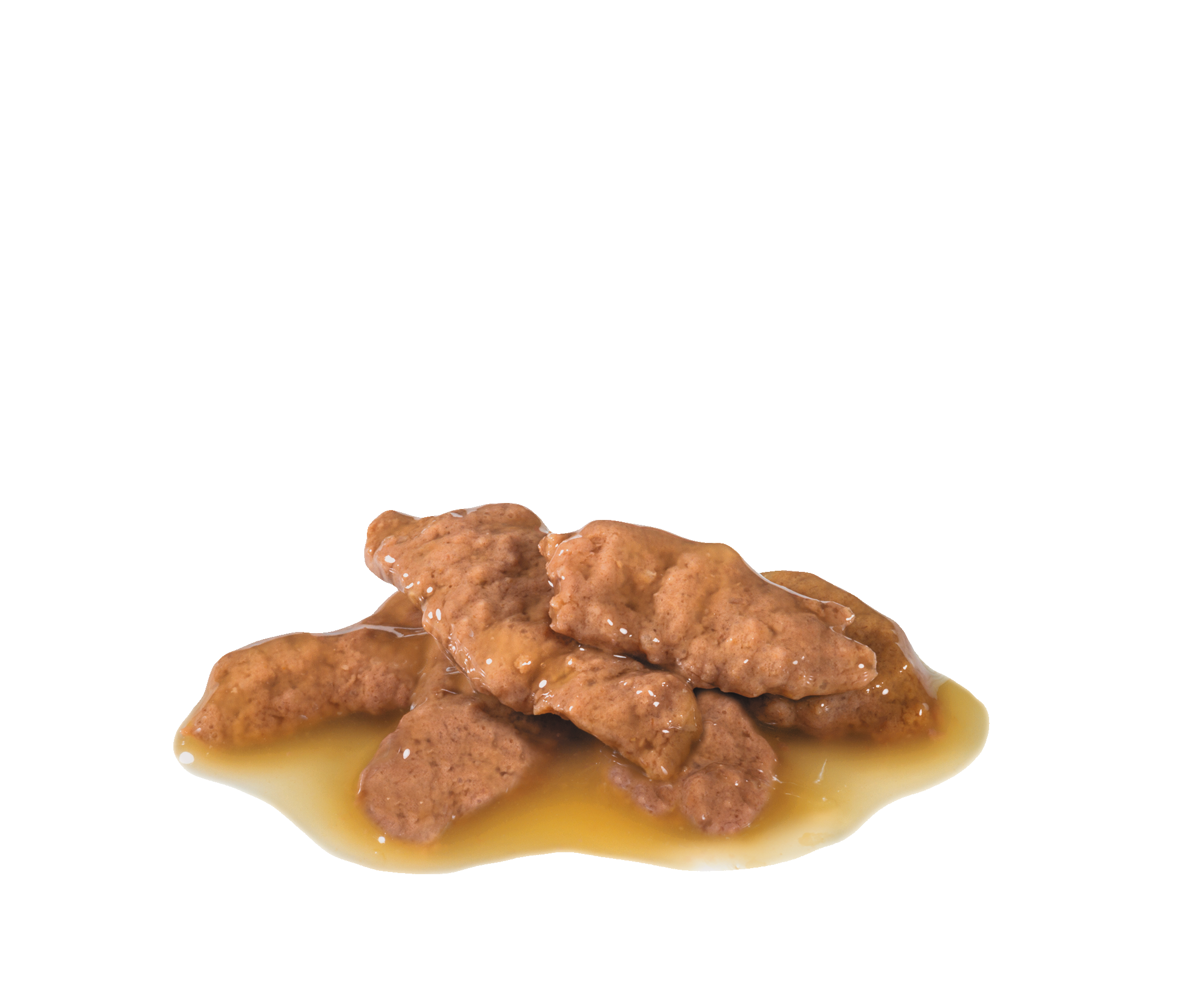 Indoor Gravy Royal Canin AU