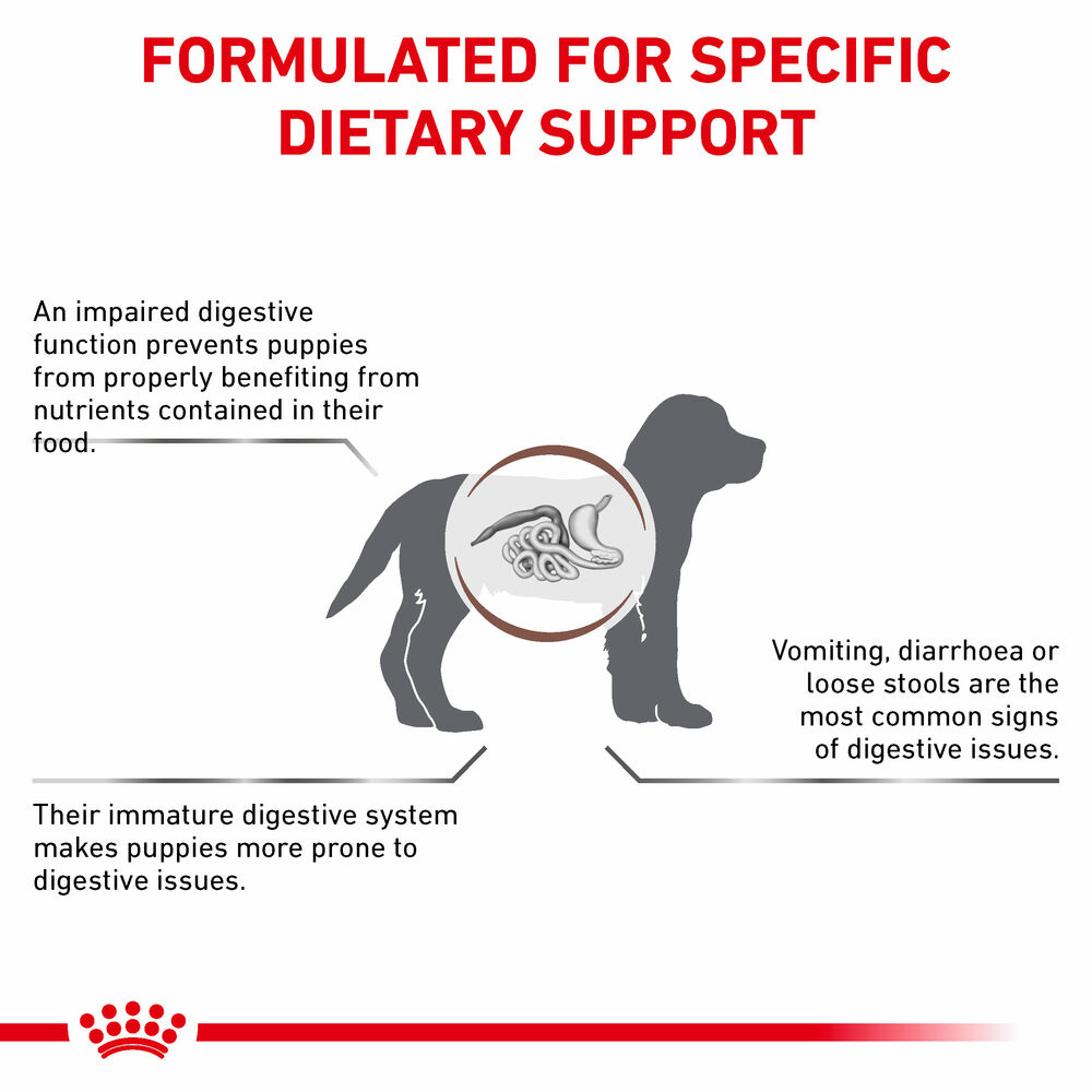 Gastrointestinal royal 2024 canin junior