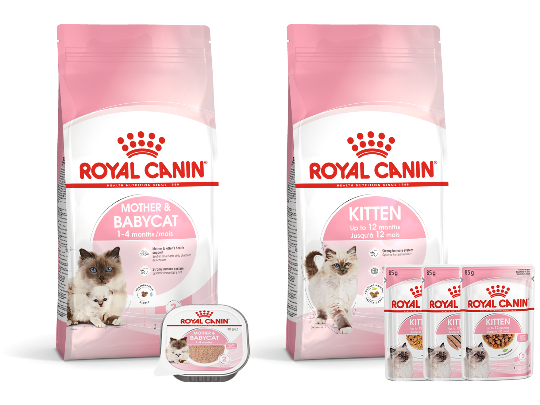 Royal canin hotsell kitten mother