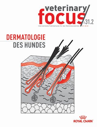 Dermatologie des Hundes