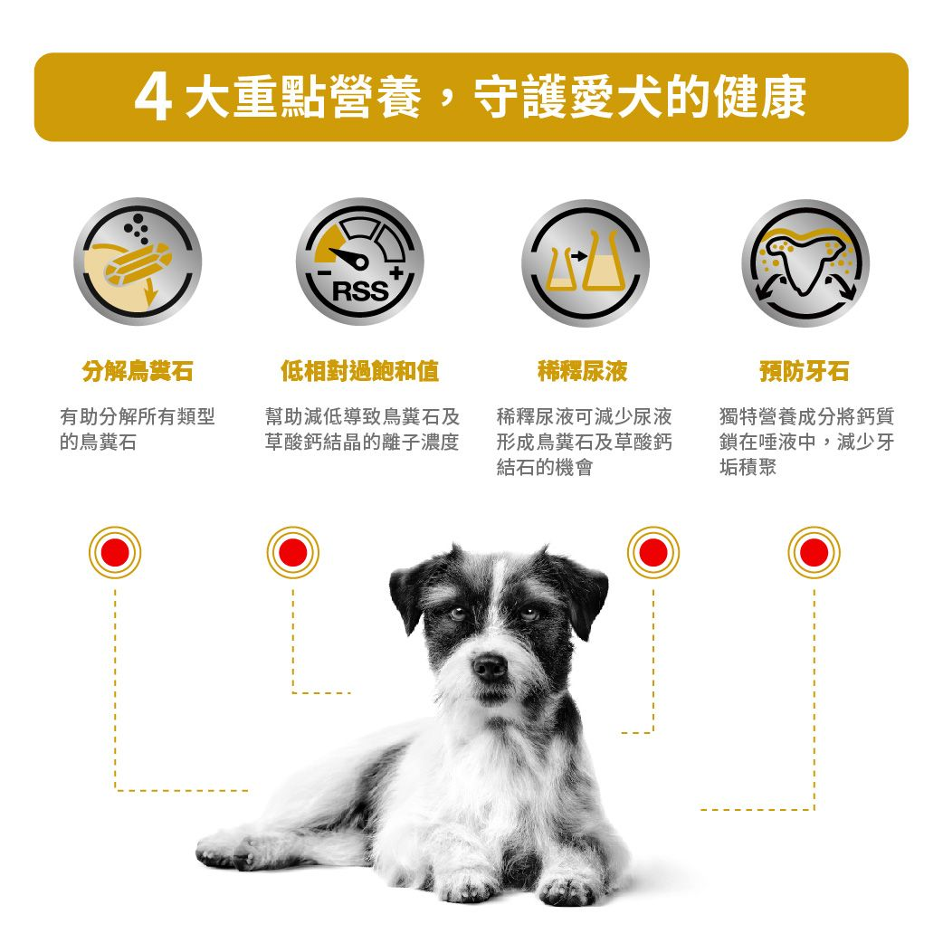 小型成犬泌尿道處方