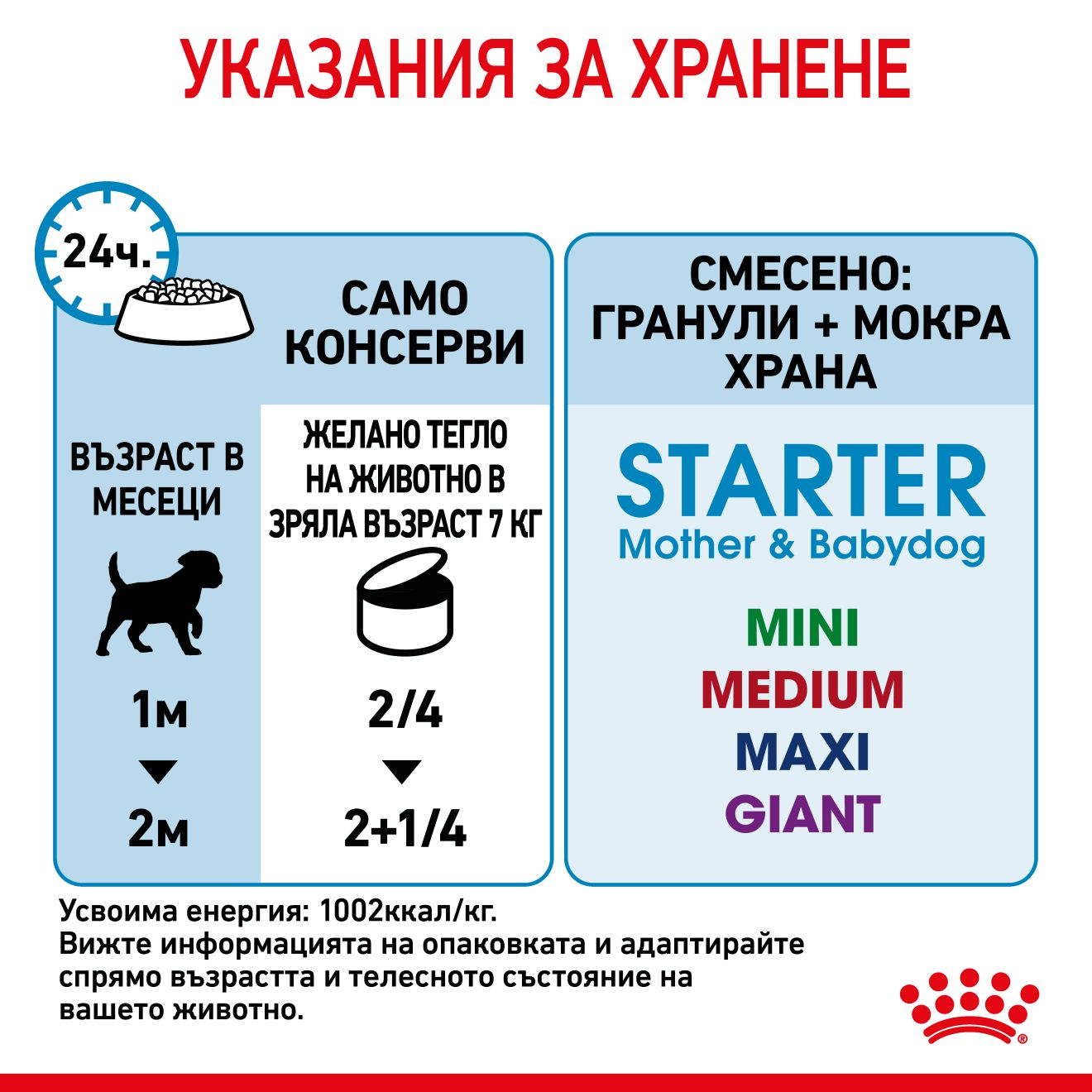 STARTER Mother & Babydog мус