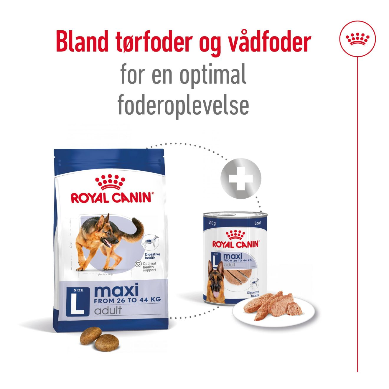 Maxi Adult