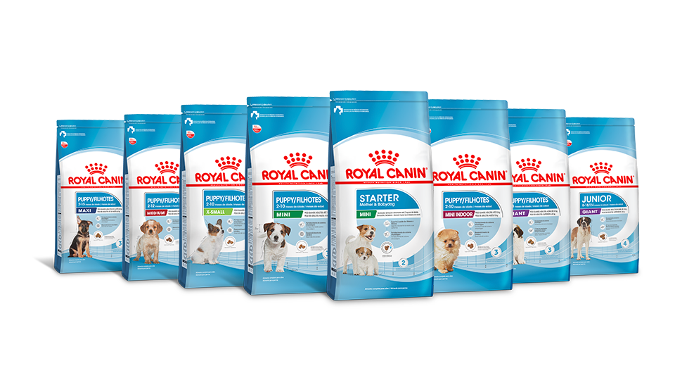 Programa Filhotes em Crescimento da Royal Canin