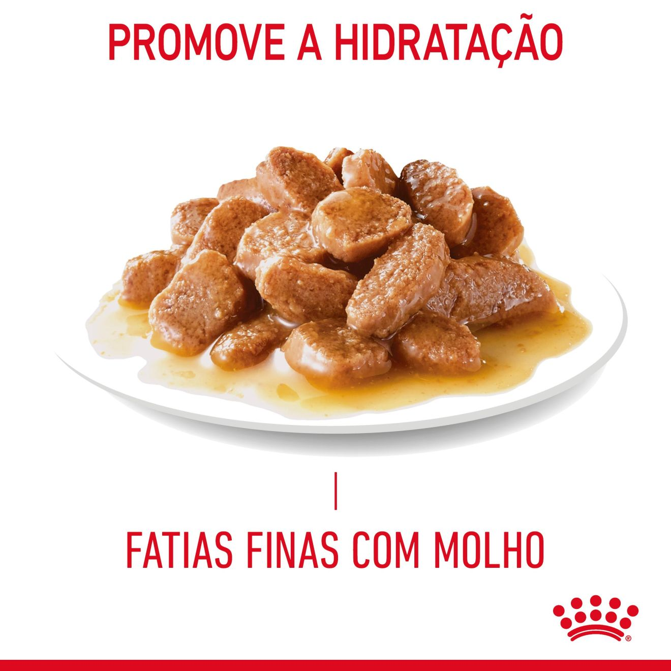 LIGHT WEIGHT CARE Fatias finas em molho