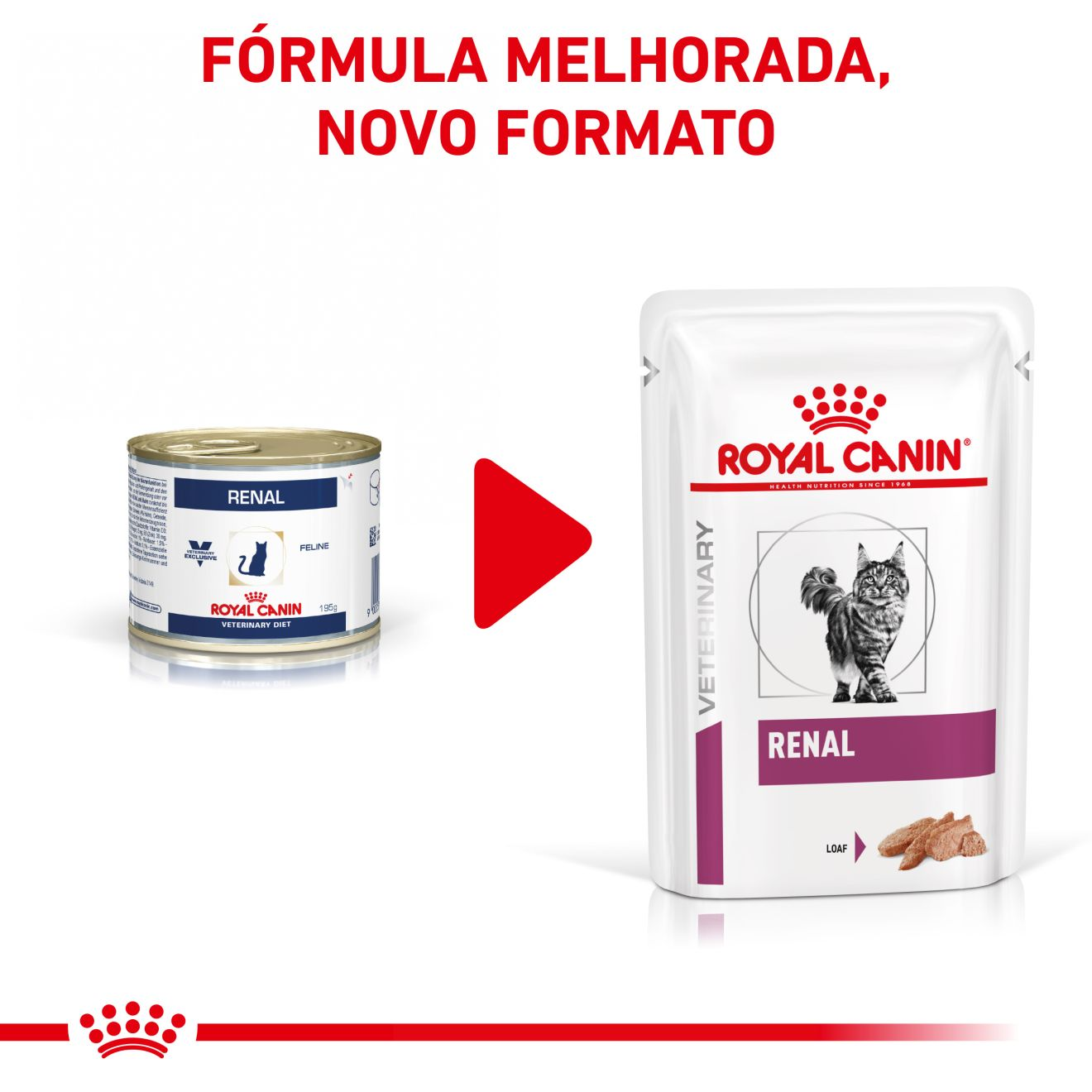 Renal Patê