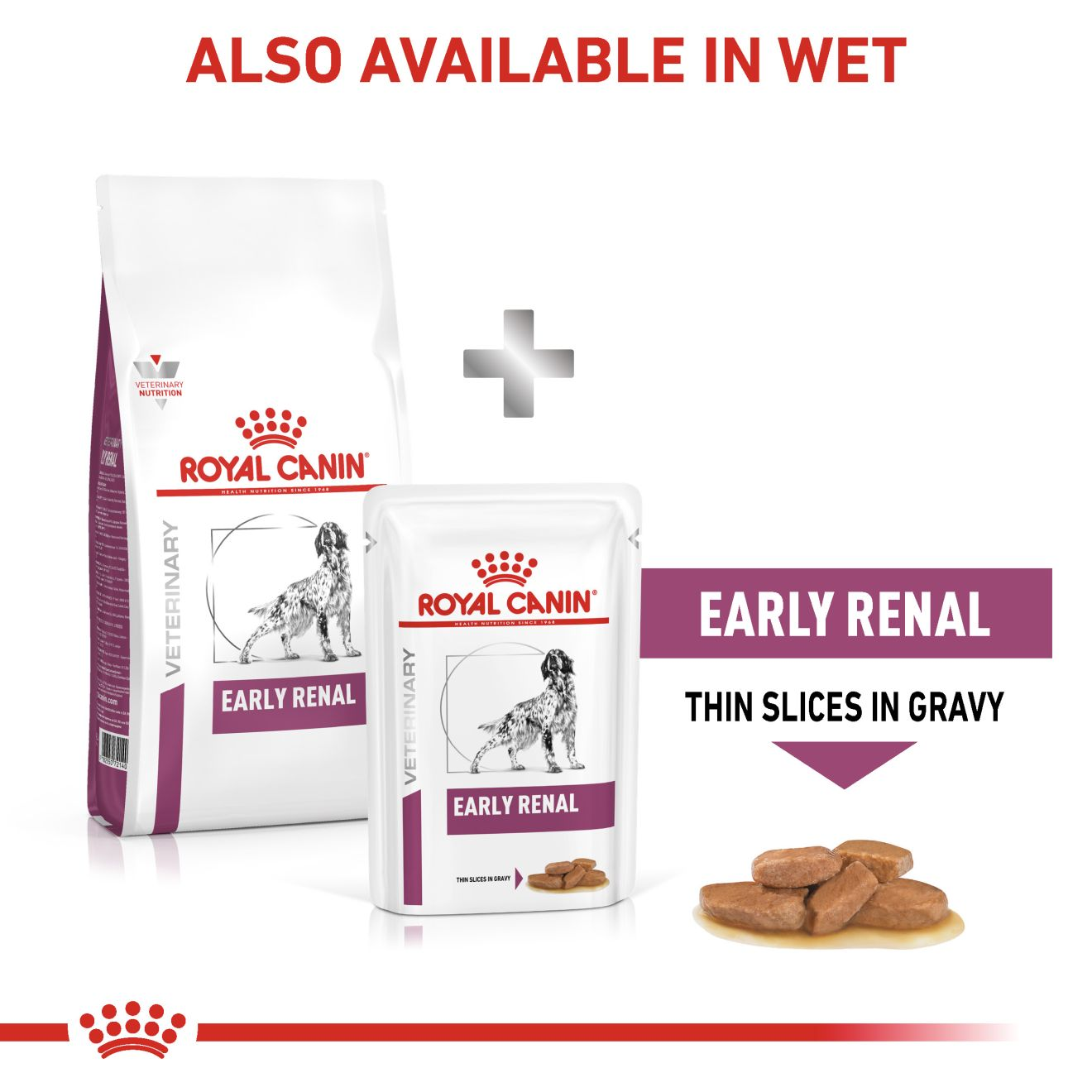 อาหารสุนัขประกอบการรักษาโรคไตในระยะเริ่มต้น ชนิดเม็ด (EARLY RENAL)