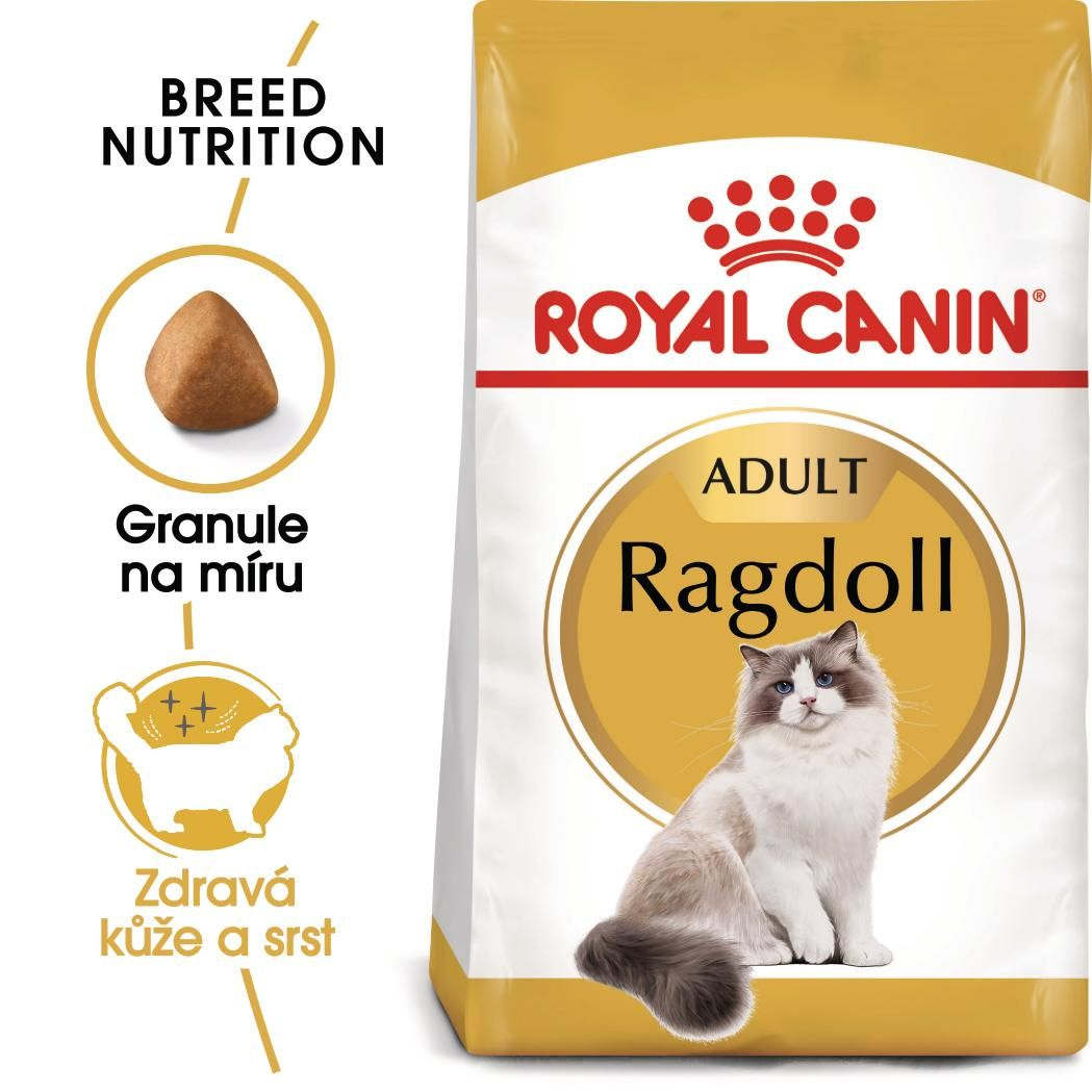 RAGDOLL Adult