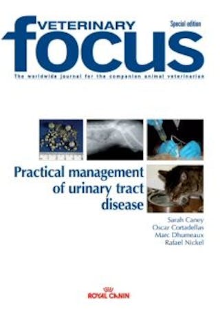 Issue FSE Clinical Practical Management of Urinary Tract Disease