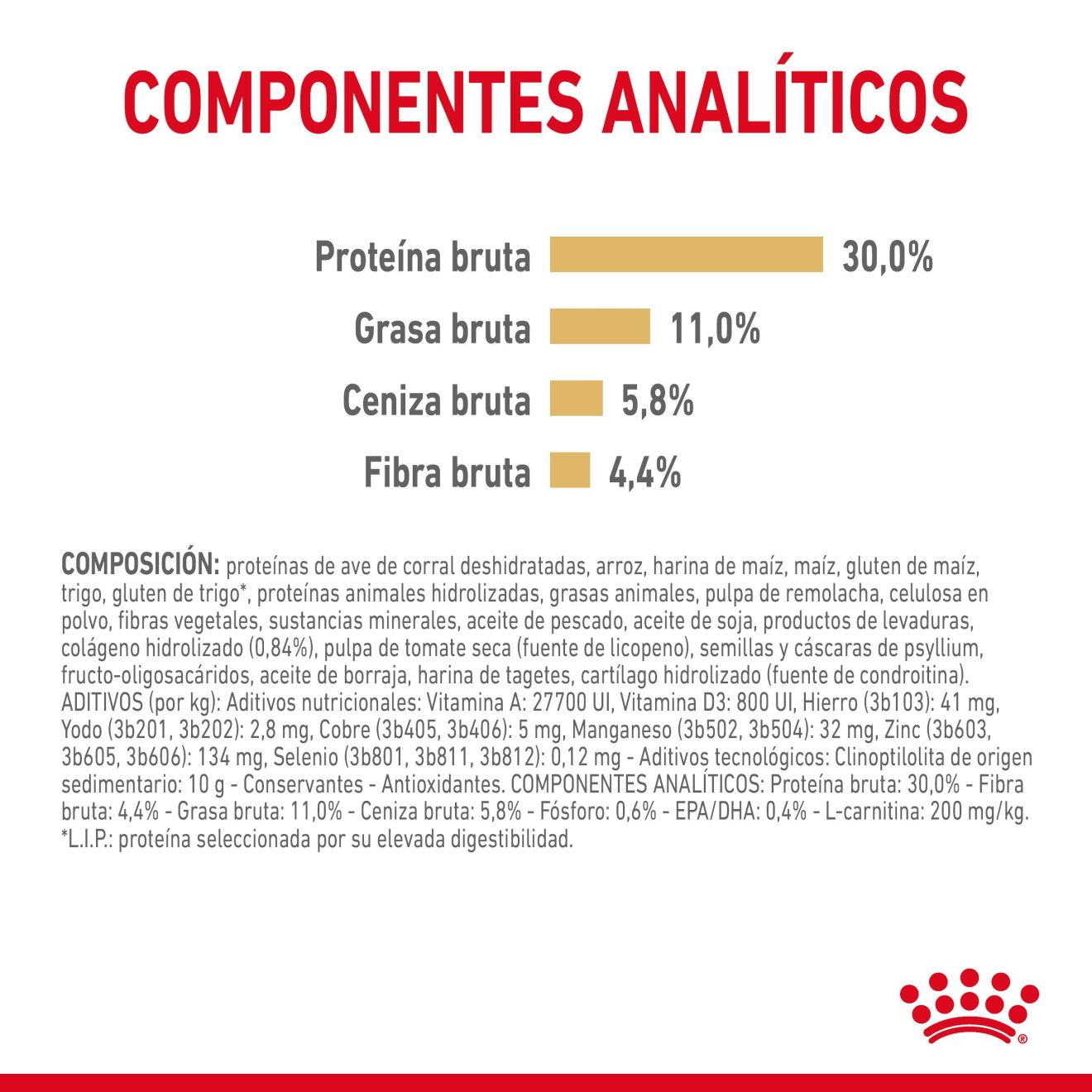 Labrador Retriever 5+