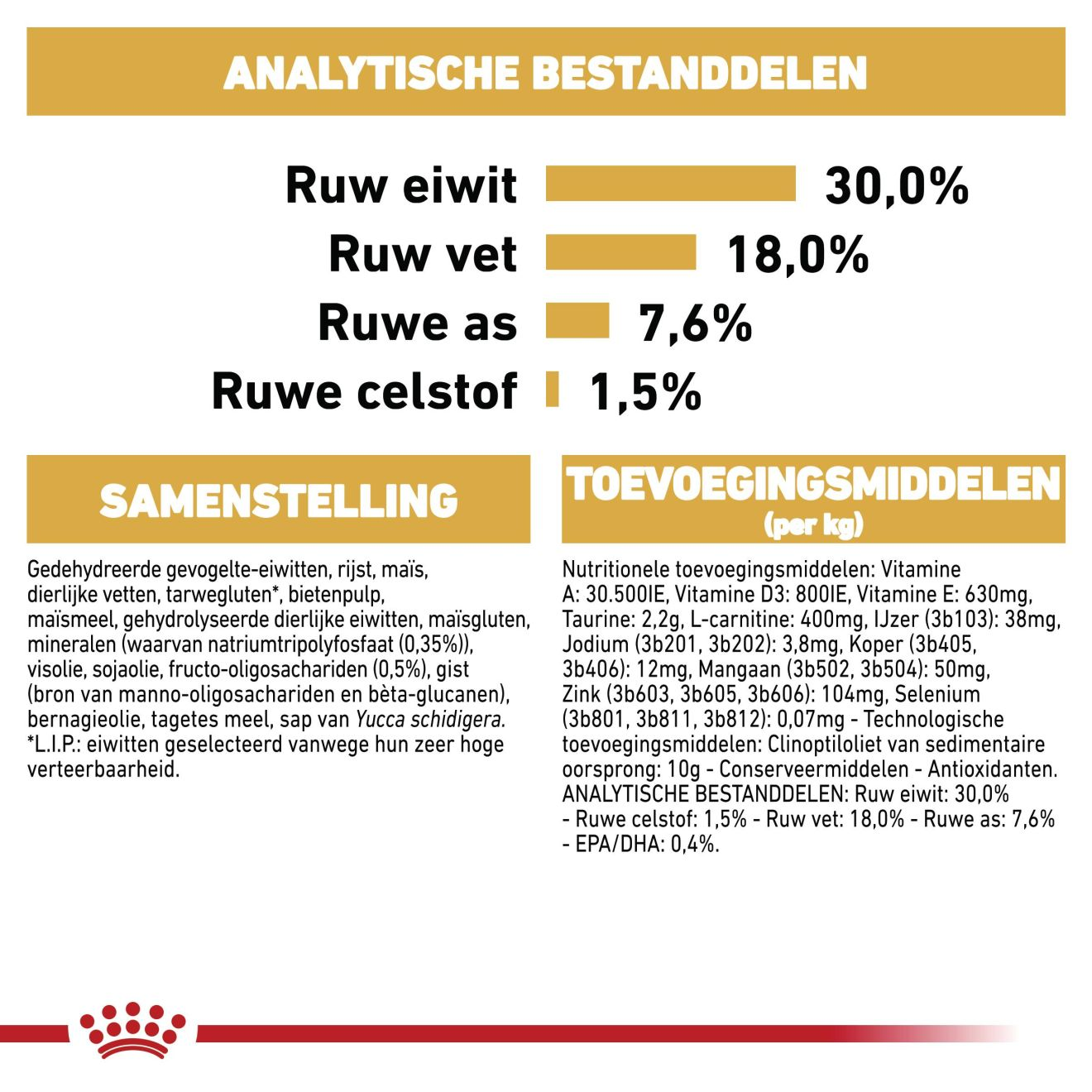 Cavalier King Charles Puppy