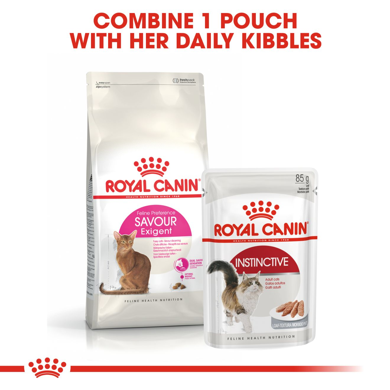 Savour Exigent Cat Food Royal Canin UK