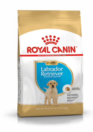อาหารลูกสุนัข พันธุ์ลาบราดอร์ รีทรีฟเวอร์ ชนิดเม็ด (LABRADOR RETRIEVER PUPPY)