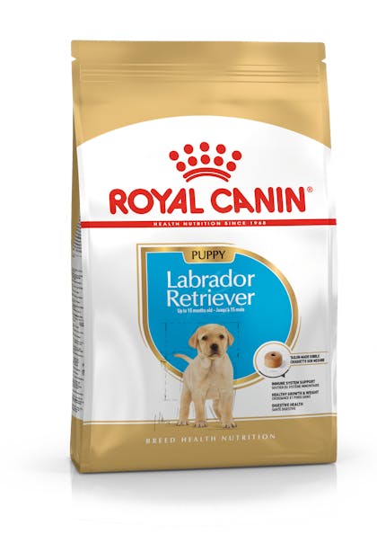 Labrador dog puppy food chart sale