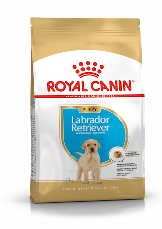 Royal Canin Labrador Retriever Puppy kuivtoit