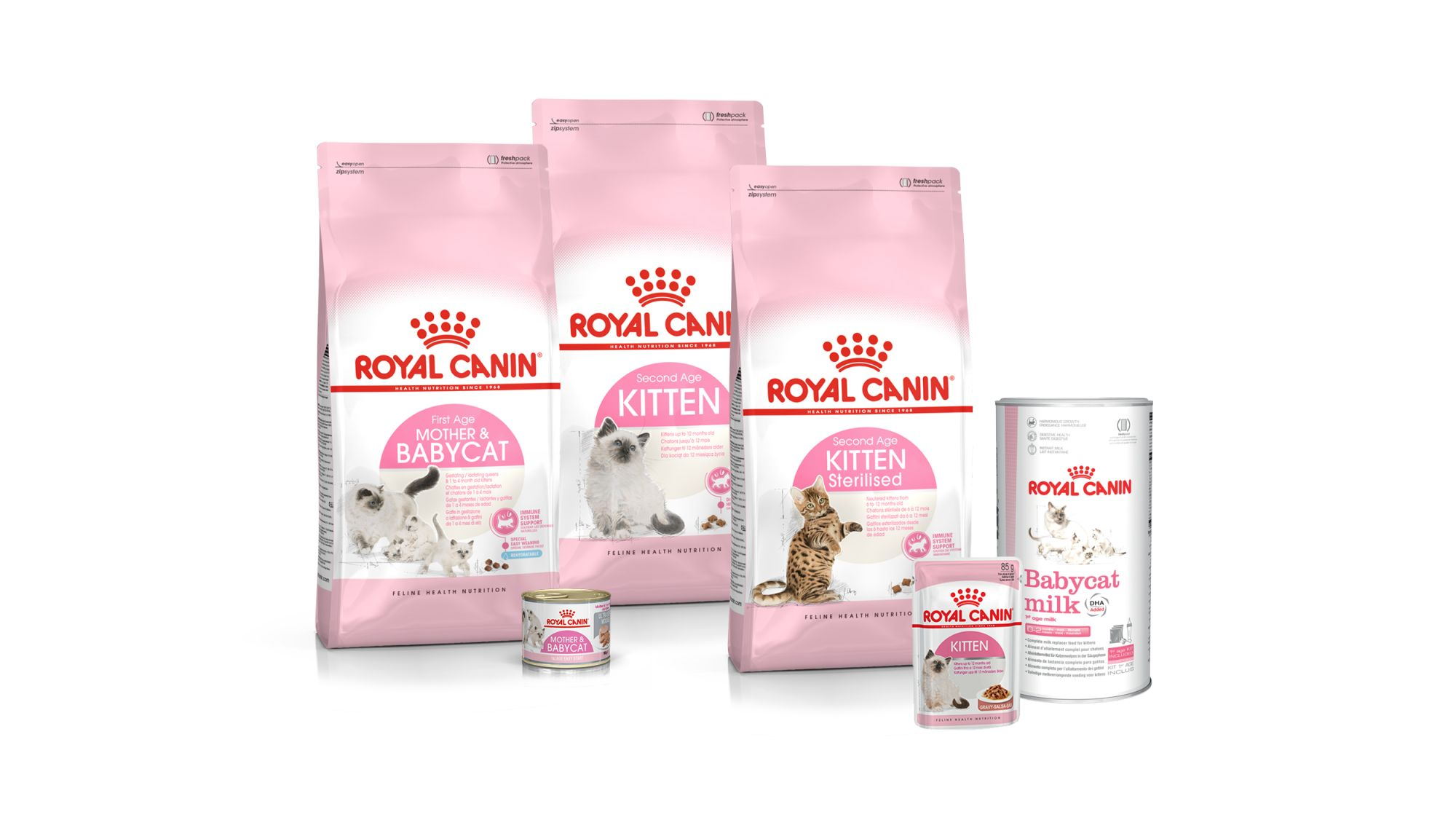 Royal Canin feline health nutrition kitten