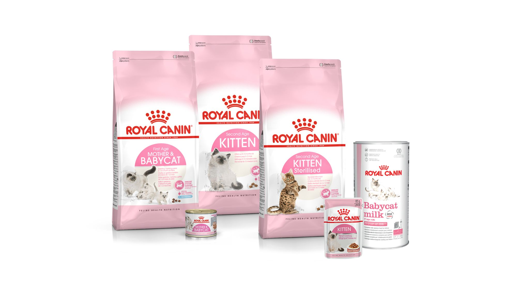 Ein Produkfoto von verschiedenen ROYAL CANIN Nahrungen für Kitten