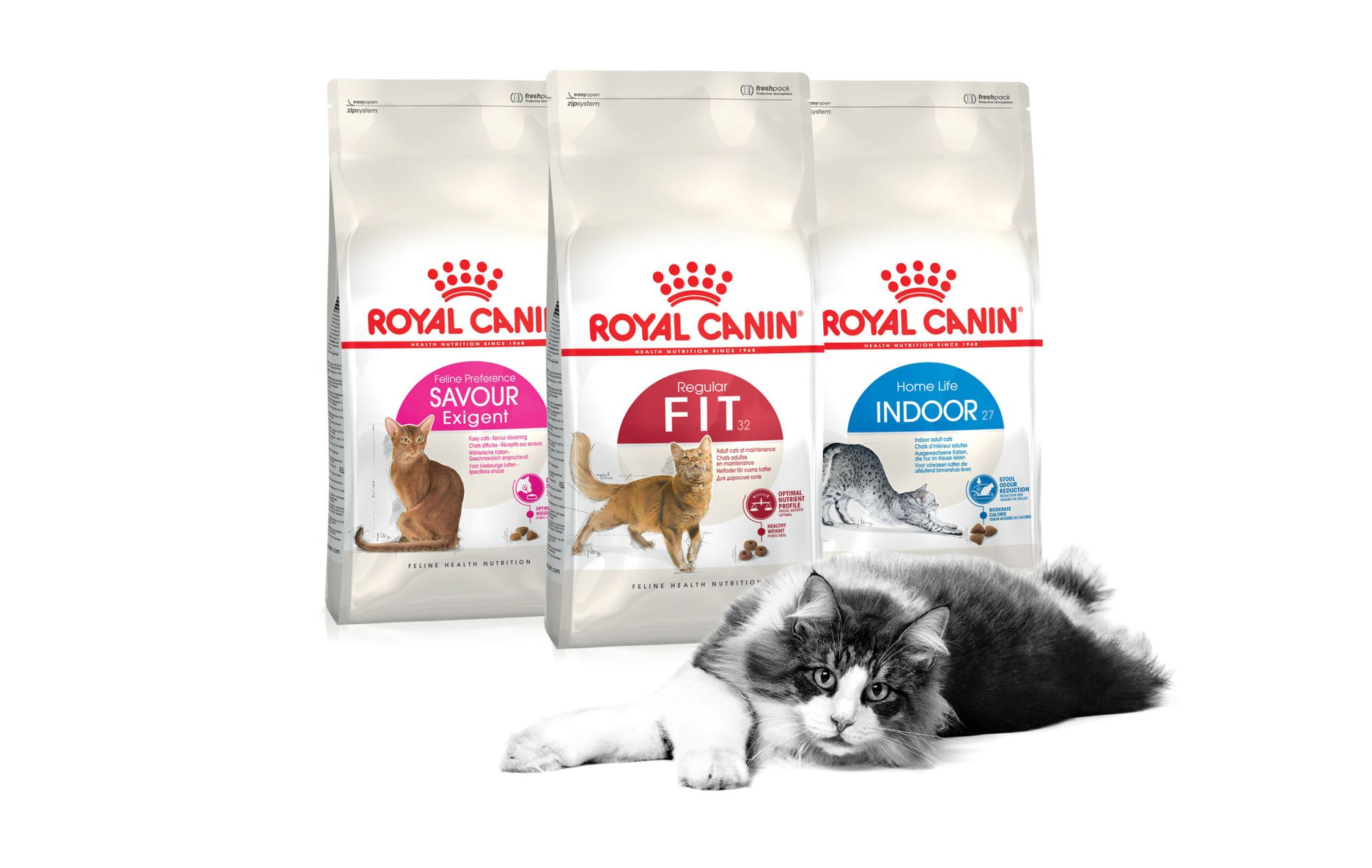 Feline health nutrition Royal Canin UK