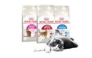 Feline Health Nutrition Dbr yakutia ru