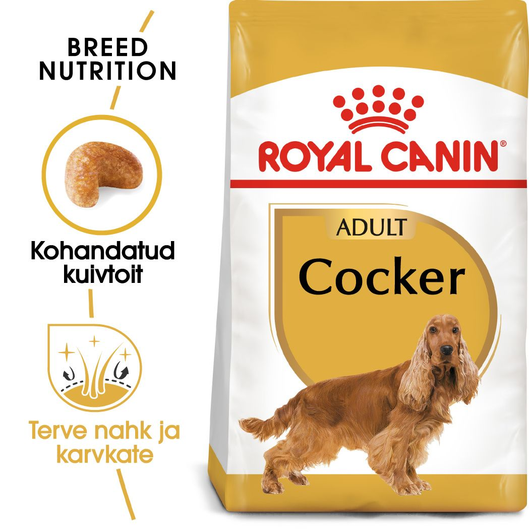Royal Canin Cocker Adult kuivtoit