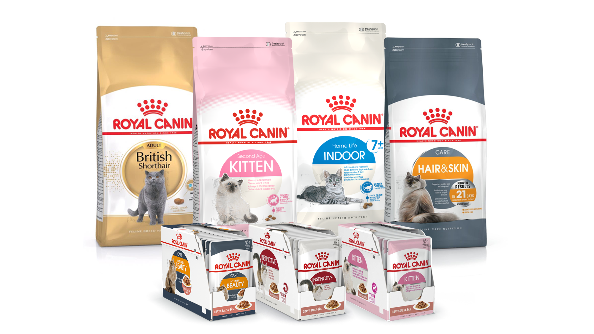 Какая температура у кошки считается нормальной? | Royal Canin