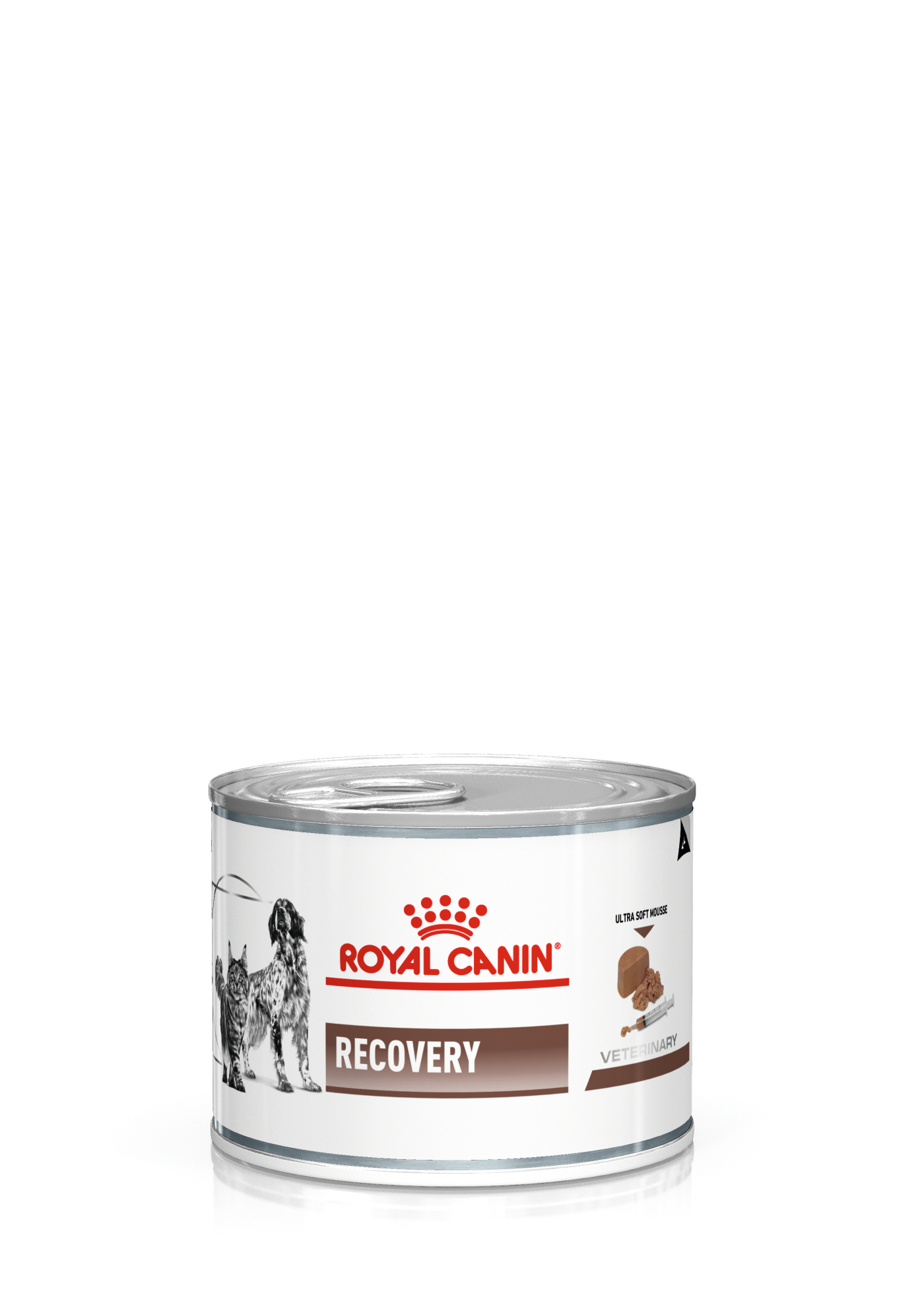 alimento recovery royal canin