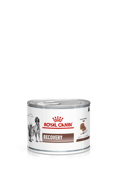 VHN-GASTROINTESTINAL RECOVERY CAT DOG LOAF CAN-PACKSHOT