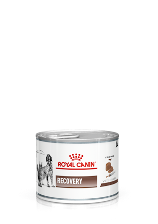 Royal Canin Recovery Cat & Dog konserv (pehme vaht)