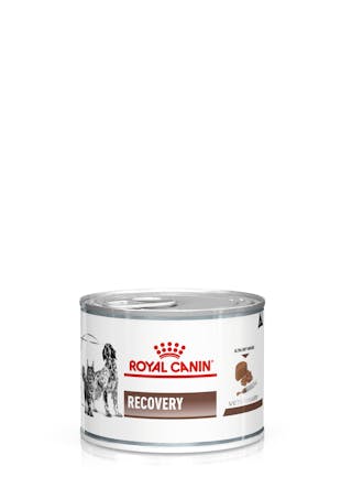Gastrointestinal Recovery Ultra Soft Mousse