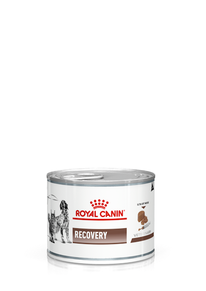 Royal canin discount cat recovery food