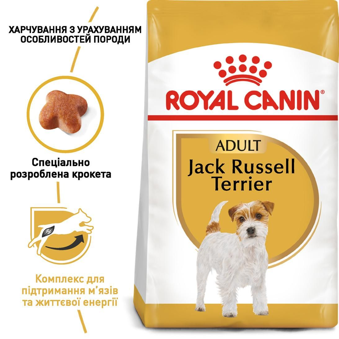 Jack Russel Adult