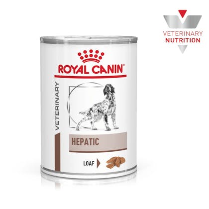 VHN-BrandFlagship-Hero-Images-Gastrointestinal Hepatic 420g Dog Wet-B1