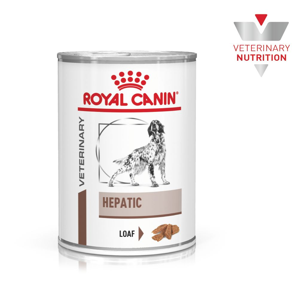 makanan basah royal canin kitten