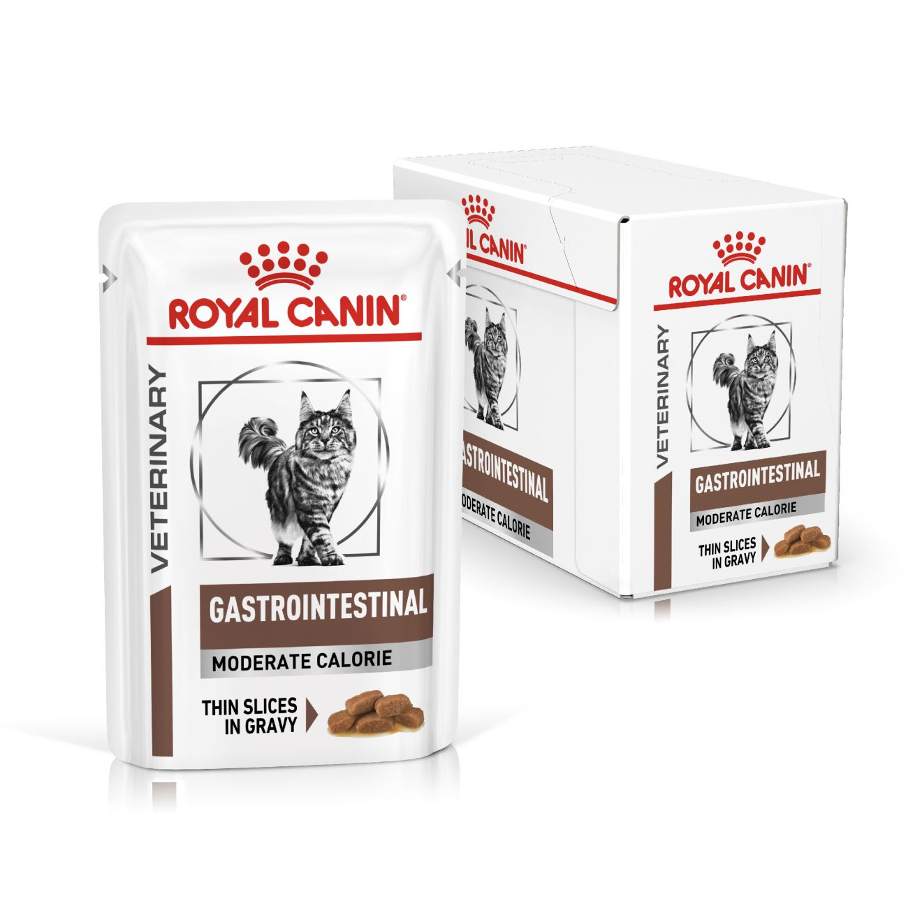 VHN Cat Gastrointestinal Moderate Calorie Gravy