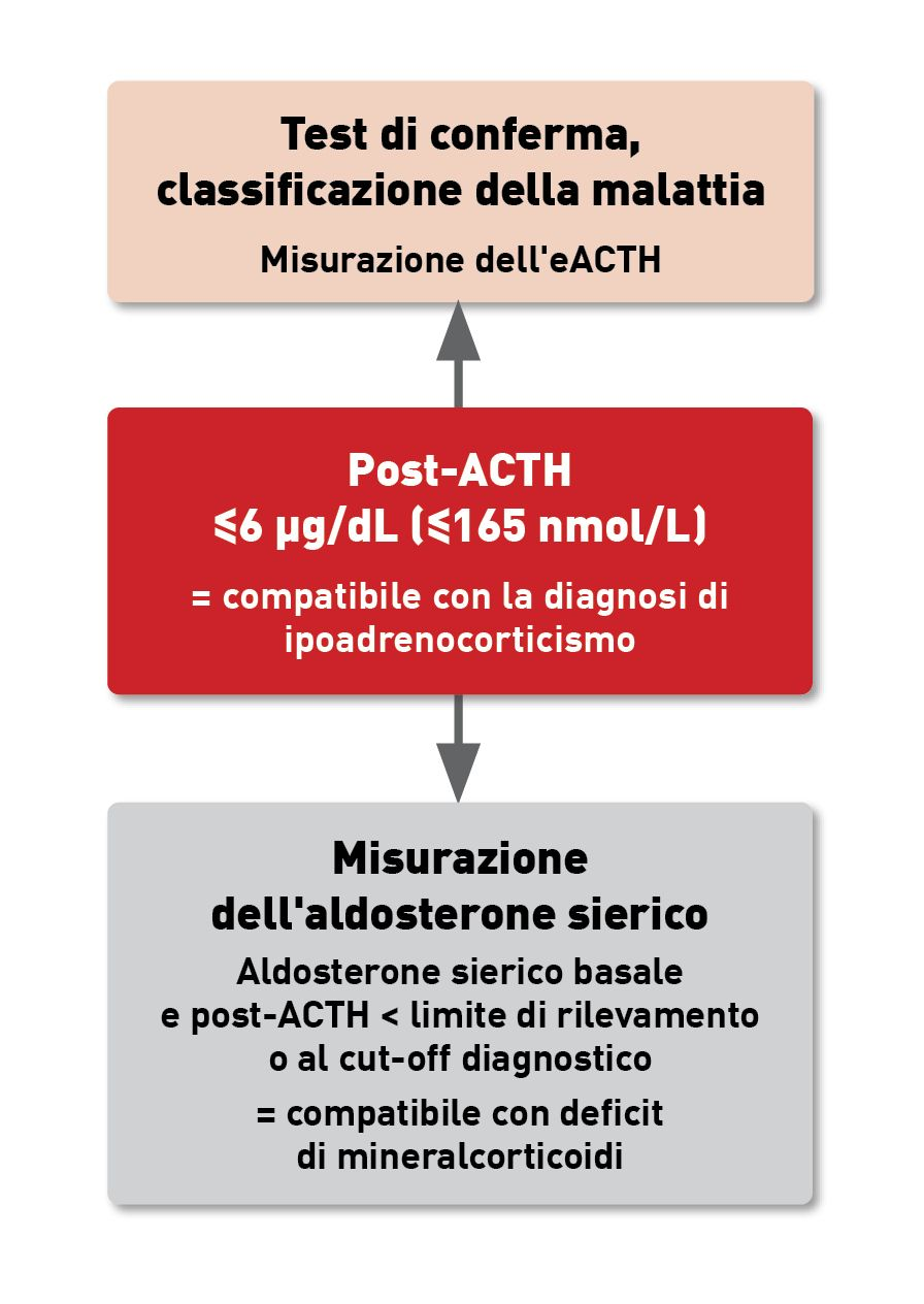 Algoritmo diagnostico per l’ulteriore valutazione dello stato ormonale surrenale nei cani con ipoadrenocorticismo atipico