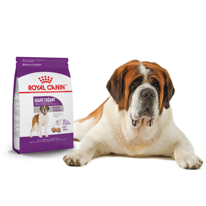 Royal canin giant breed dog clearance food