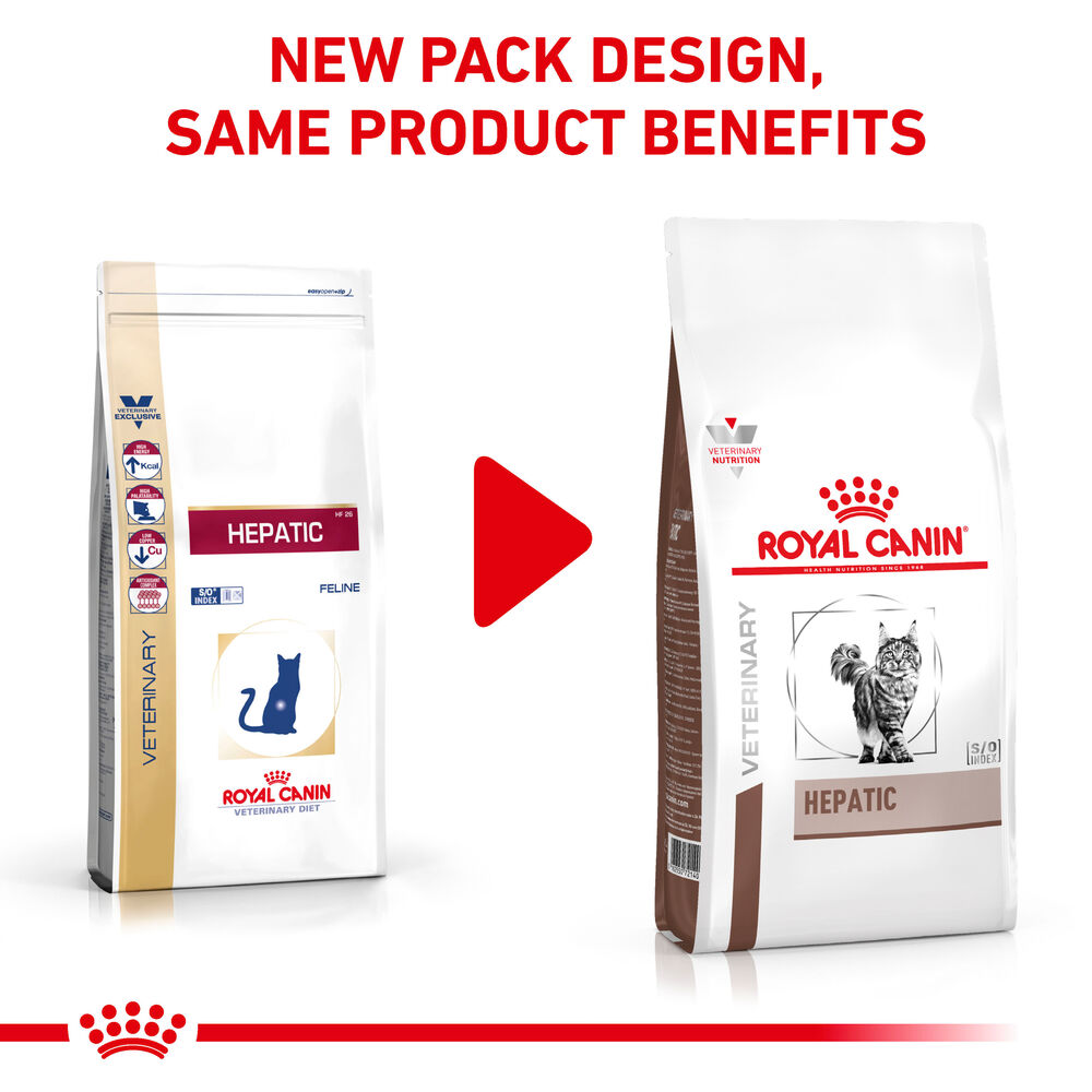 Hepatic feline royal canin sale