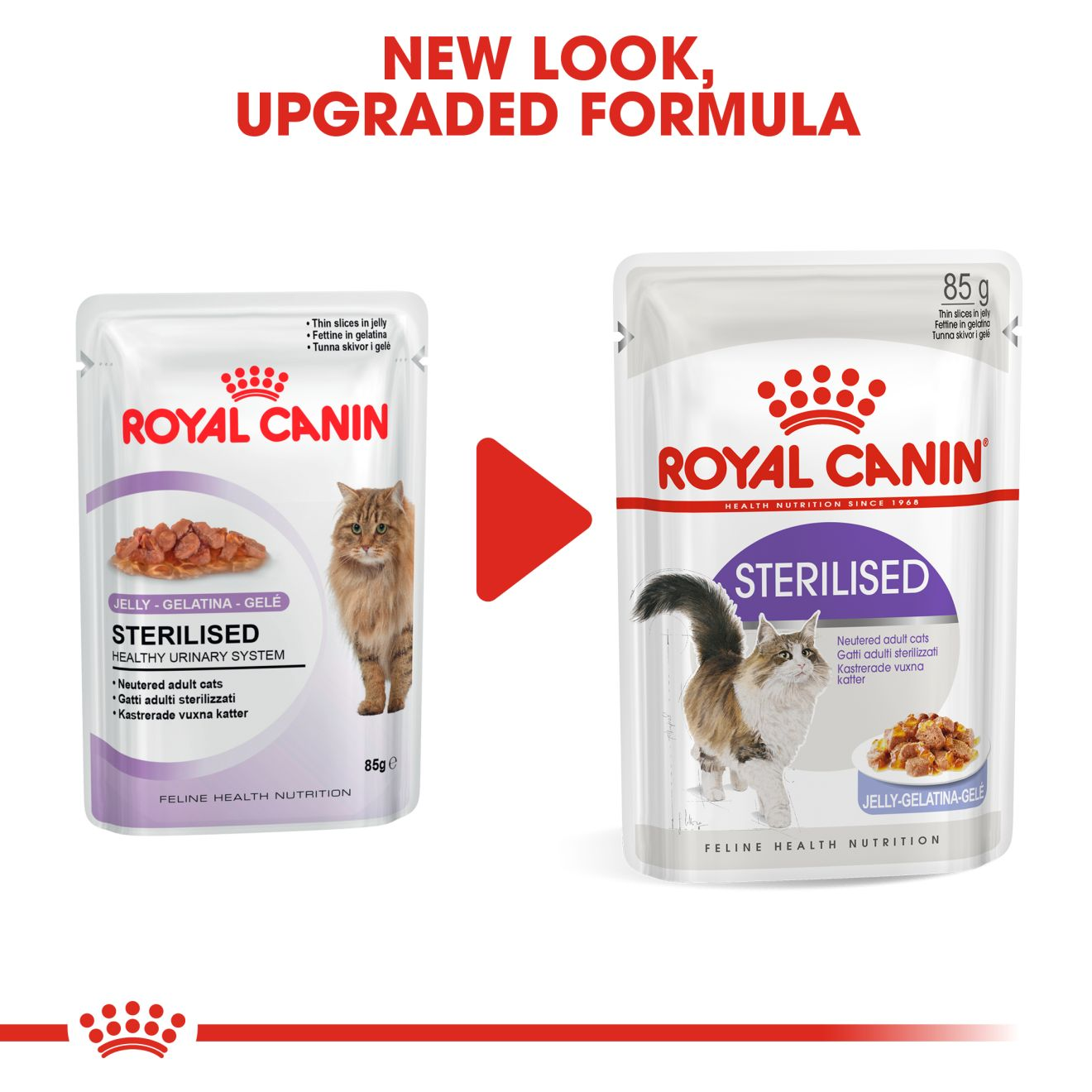 royal canin sterilized cat