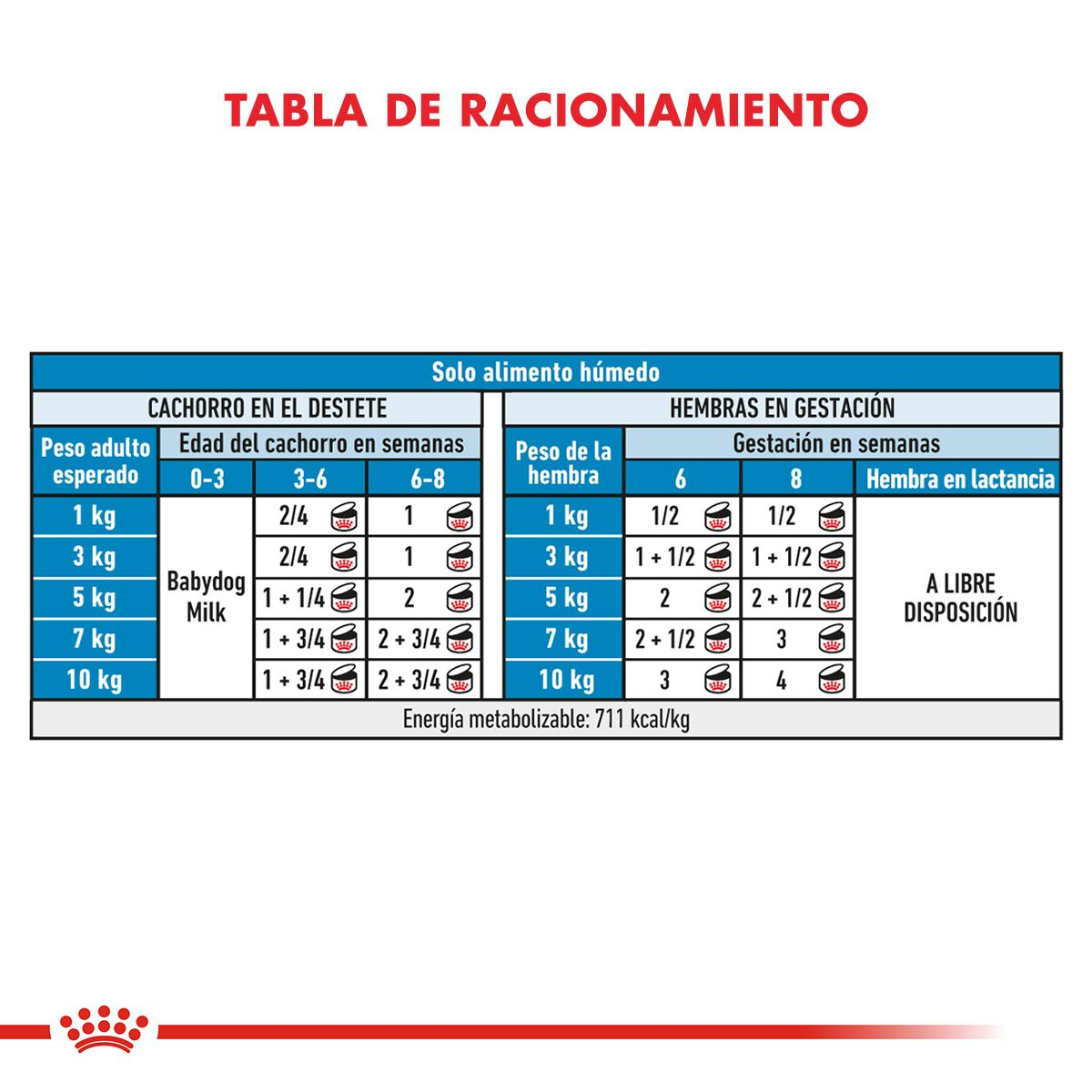 Starter Mother & Babydog 